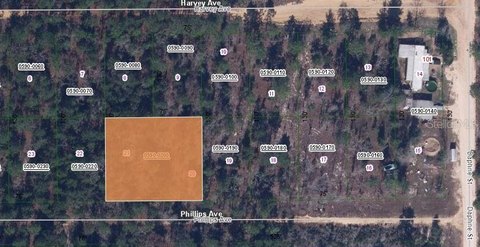 Land in Interlachen, Florida