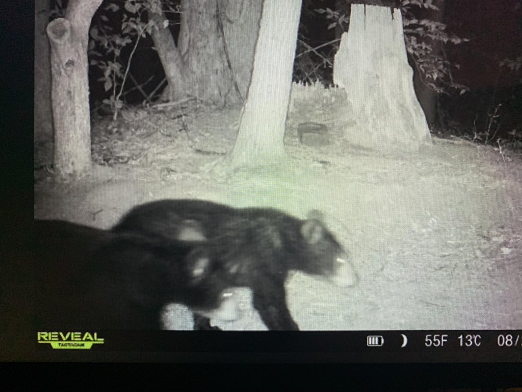 Picture 22