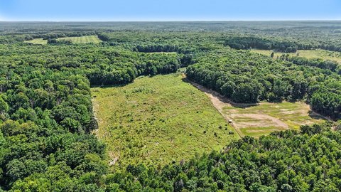 LAND - White Cloud, MI