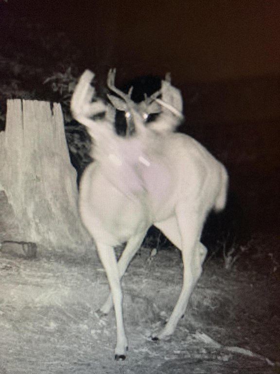 Picture 23