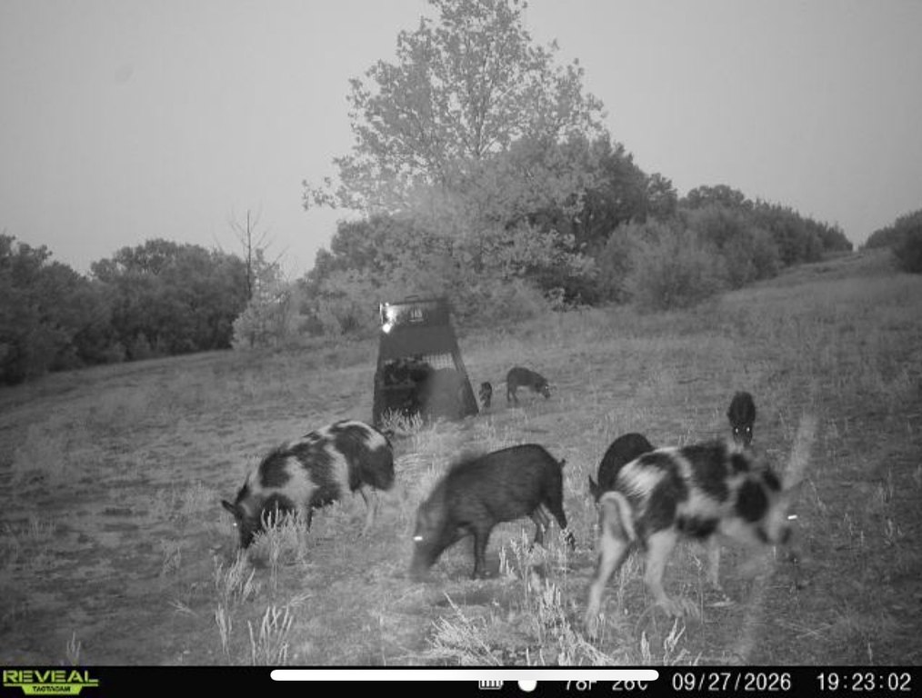 Picture 24
