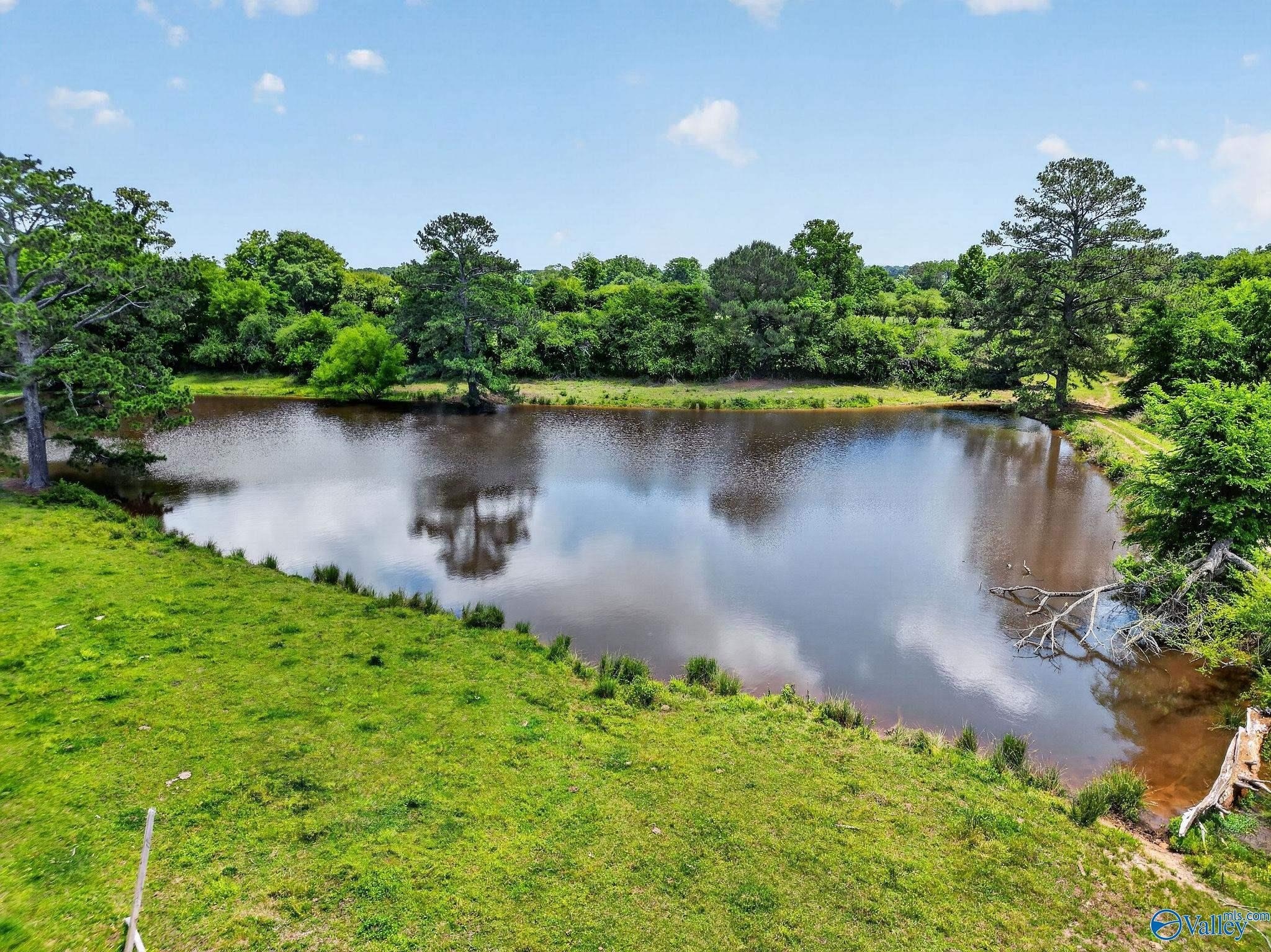 Horton, AL Land with Pasture