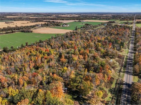 Wooded Land Parcel Near Barron