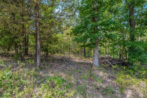 Bella Vista Wooded Lot
