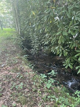 Land, Bryson City, NC