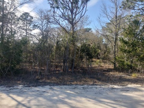 Vacant Residential Lot Acreage