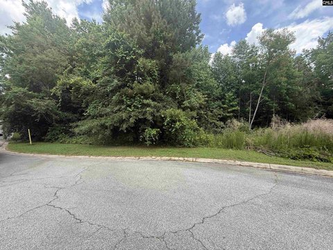 Blythewood Acreage For Sale