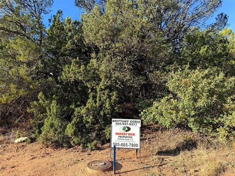 Corner Lot in Edgewood, NM