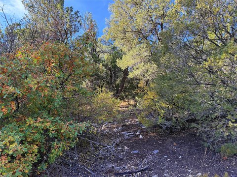 Edgewood Land: Dream Property Awaits