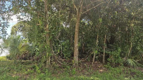 PORT ST LUCIE, FL