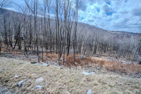 Flat Recreation Land Homesite