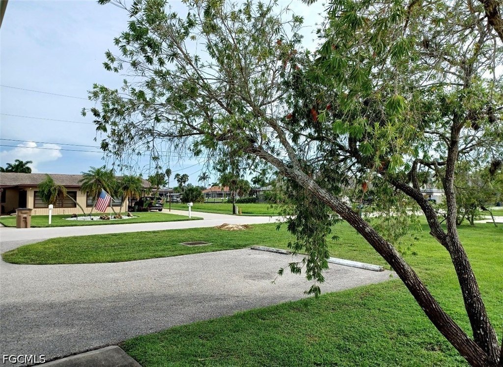 Picture 14