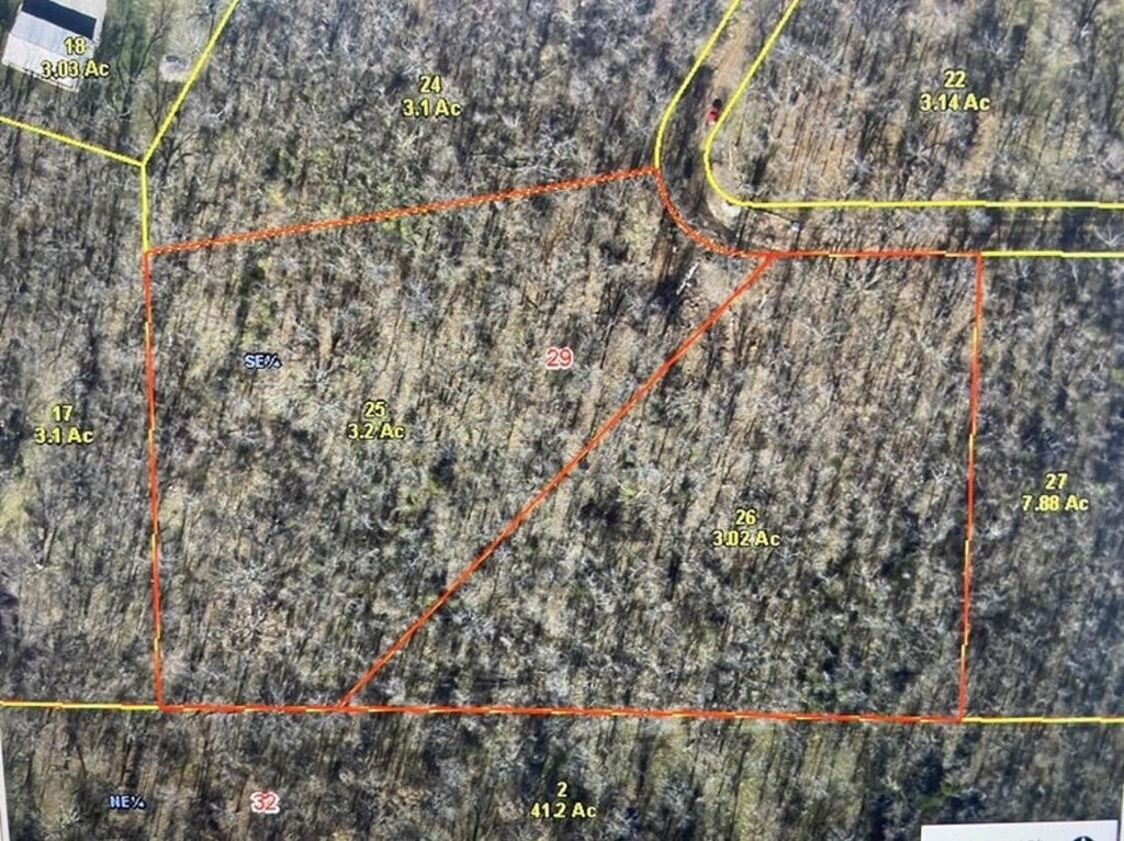 Picture 2