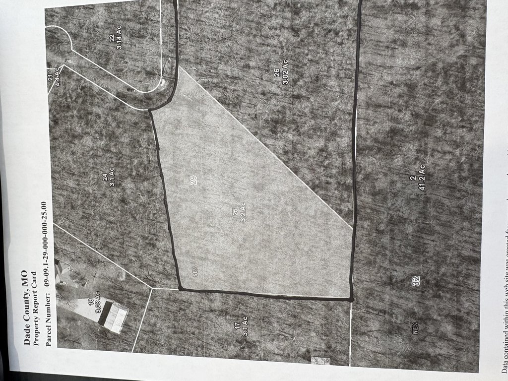 Picture 8