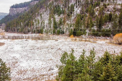Treed Mining & Hunting Land