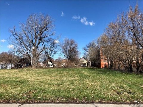 Detroit Land New Build Opportunity