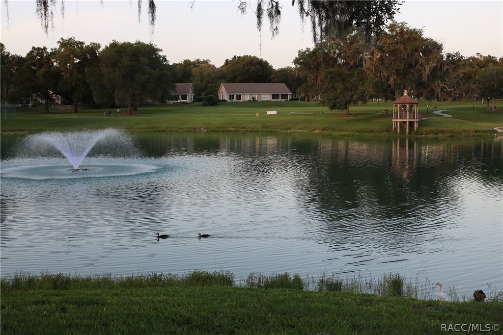 Picture 16
