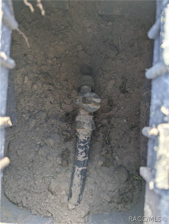 Picture 6