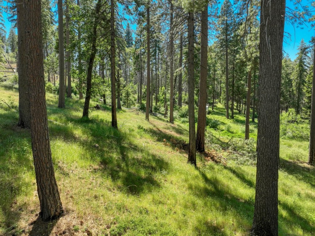 Picture 25
