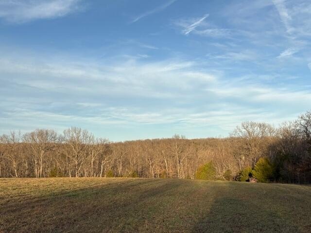 Picture 19