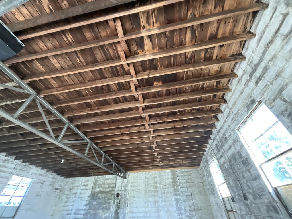 Picture 14