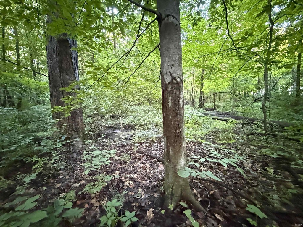 Picture 25