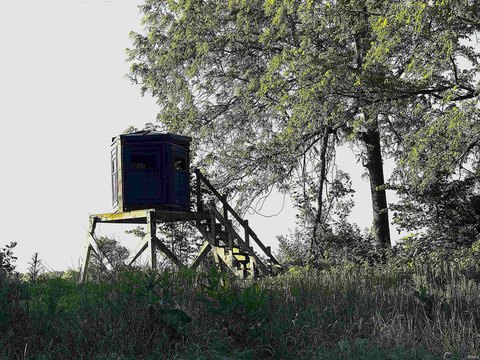 Wooded Recreational Land Tract