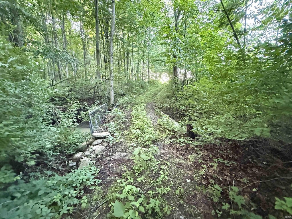Picture 16