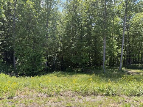 Residential Building Lot in Scottsville