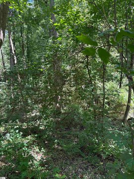 LAND - Piedmont, SC