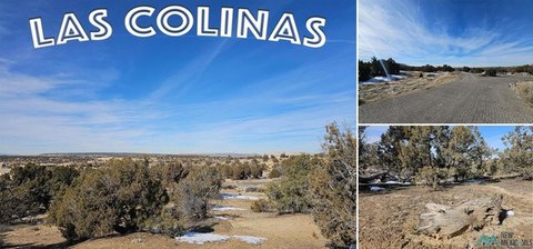 Land, Farmington, NM