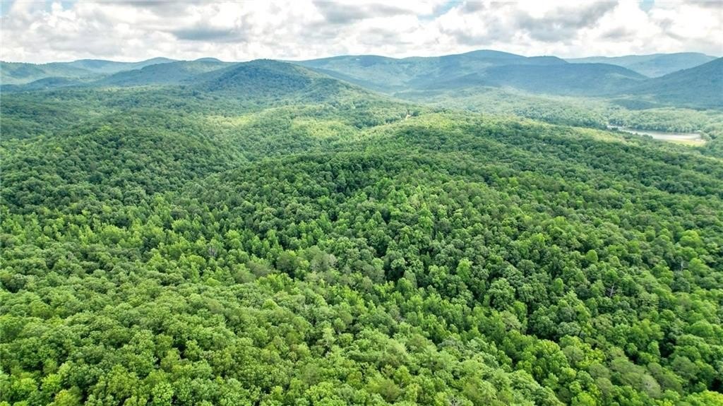 Wooded Land Near Atlanta