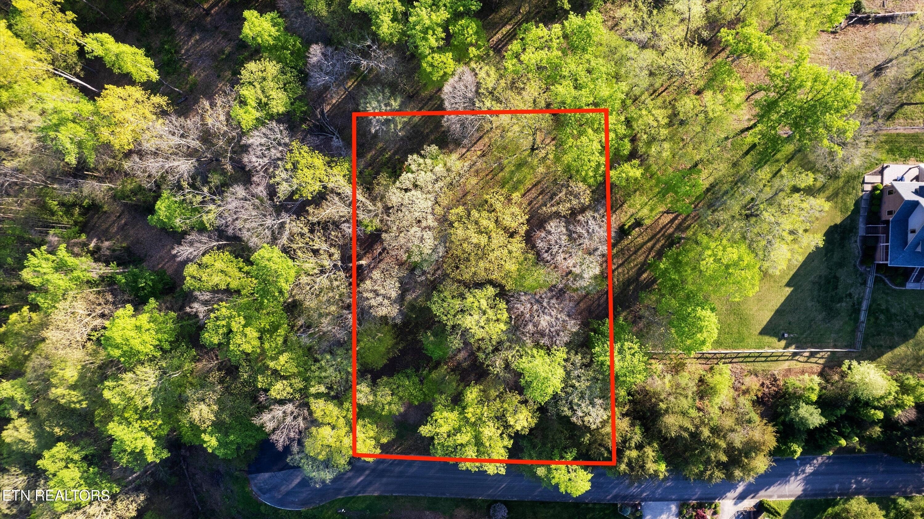 Buildable Lot with Privacy