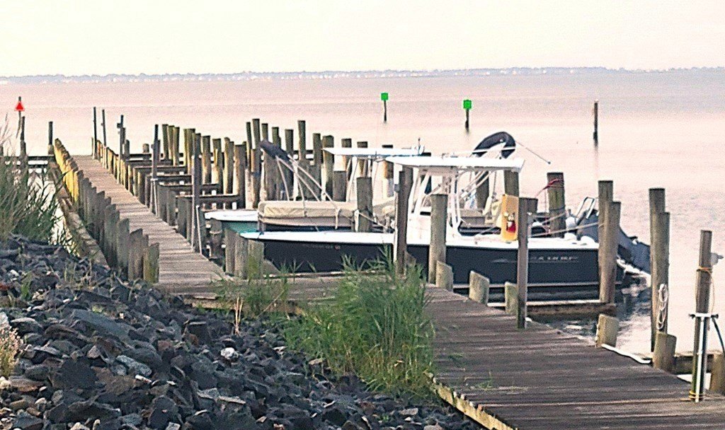 Picture 14