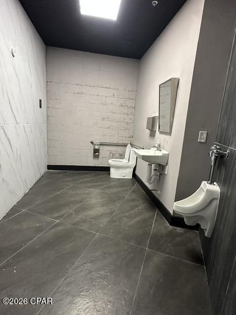 Picture 29