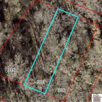 Wooded Lot in Paducah, KY