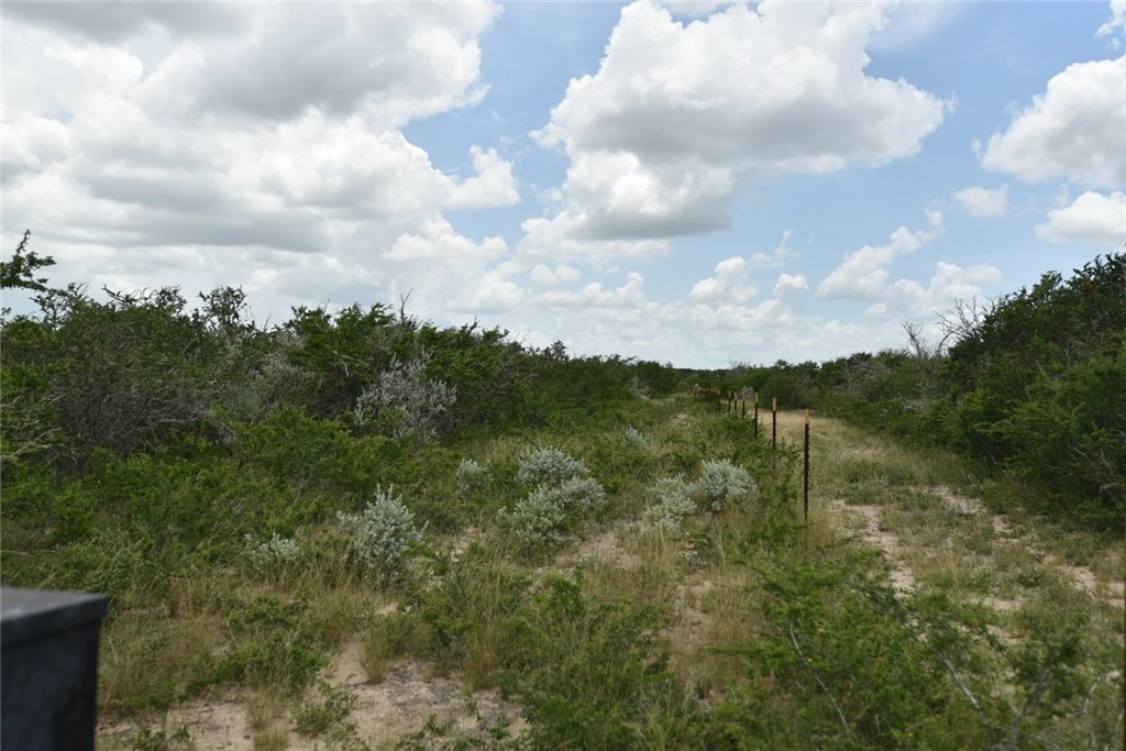 Picture 15