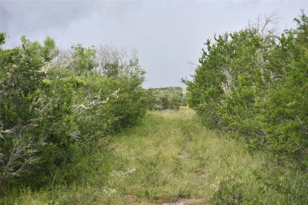 Picture 12