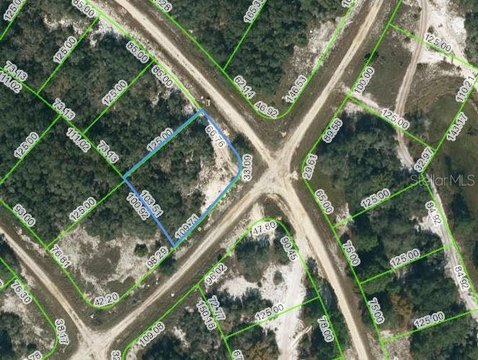 Residential Land in Lake Placid