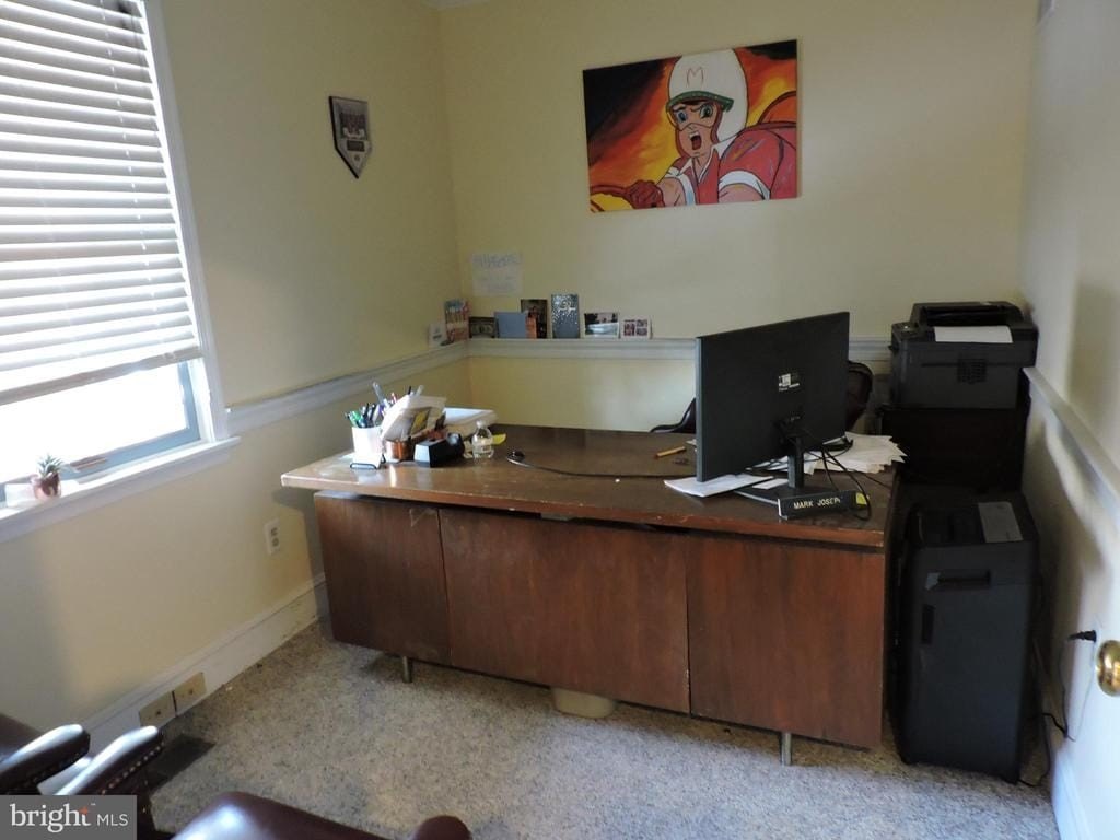 Picture 8