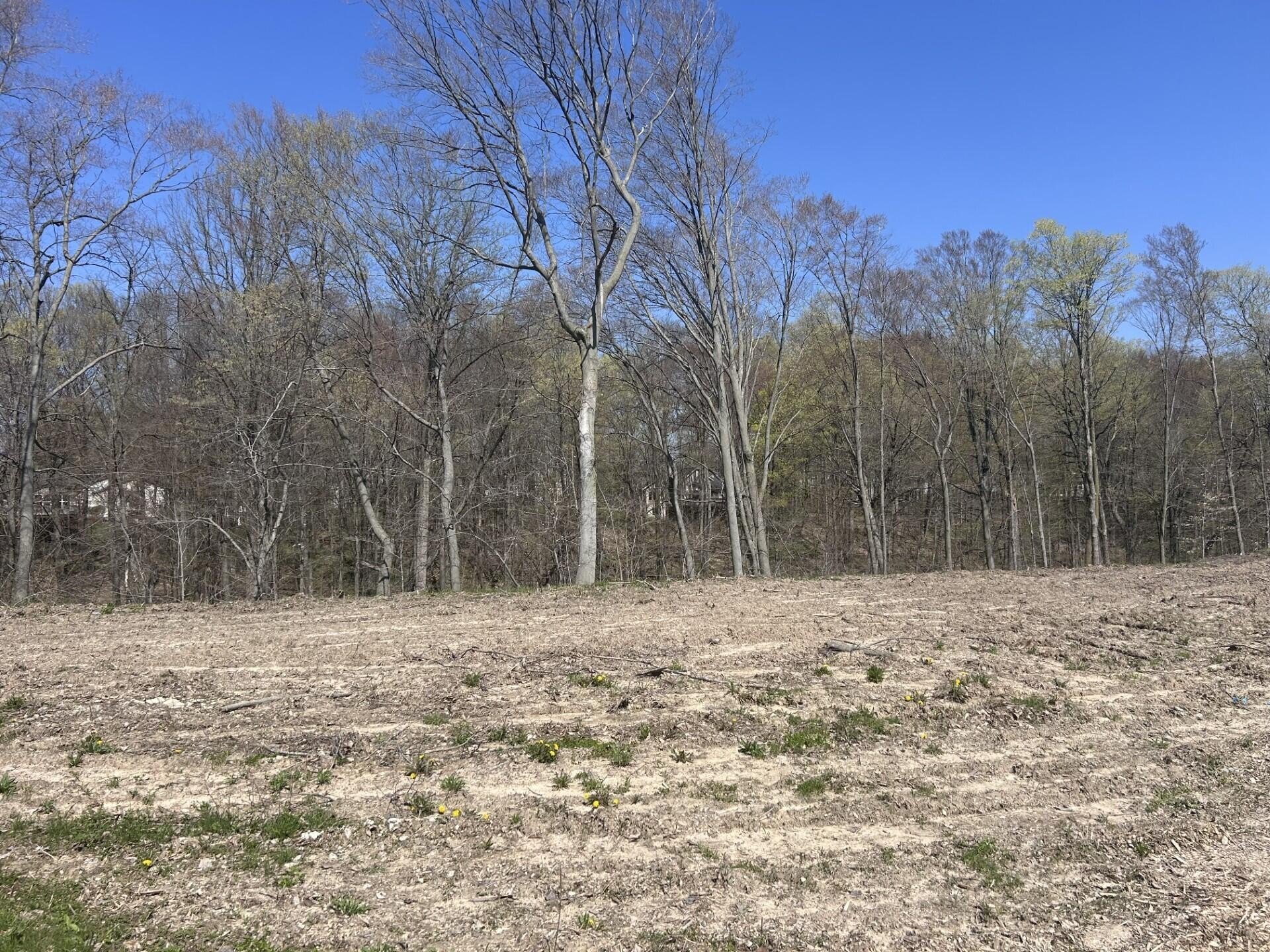 Residential Land in Caledonia, MI