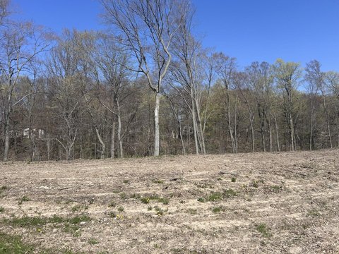 Residential Land in Caledonia, MI