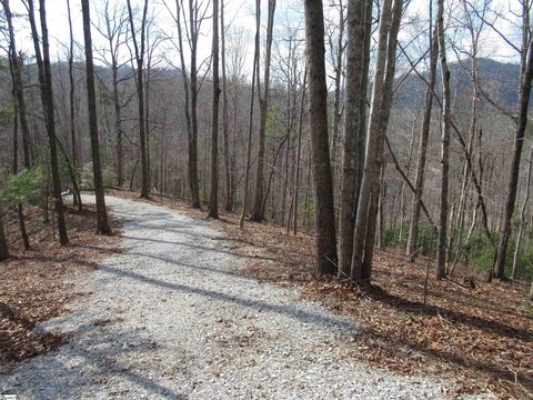 Wooded Double Lot Ready