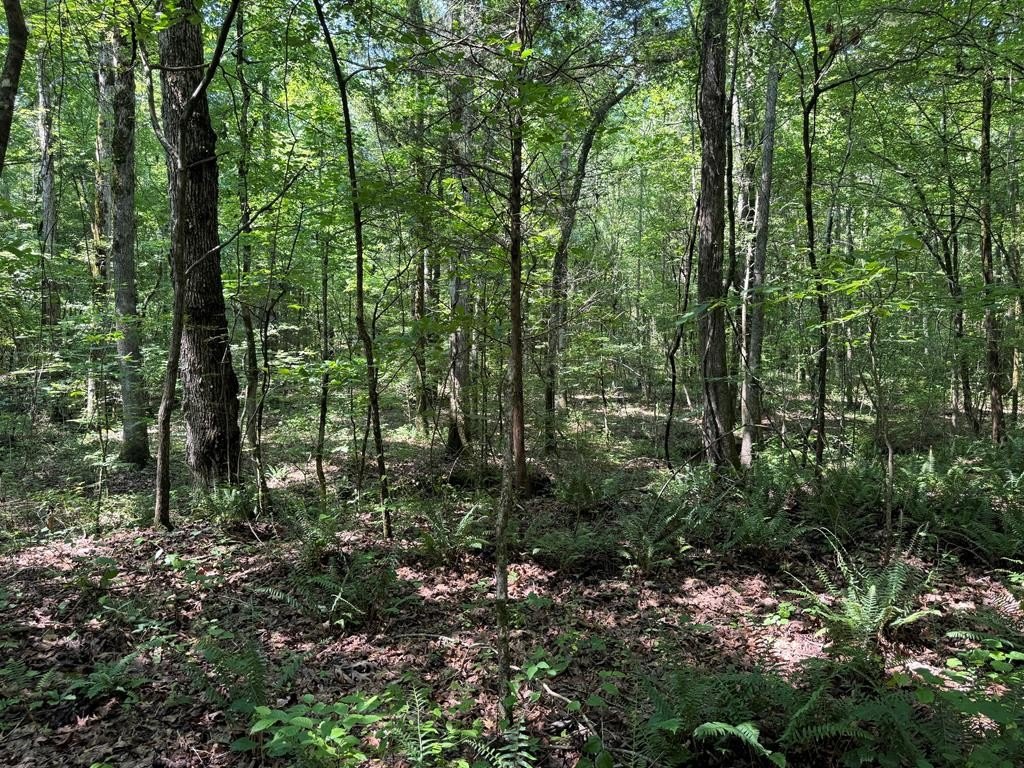 Picture 15