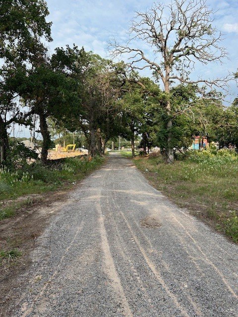 Picture 6