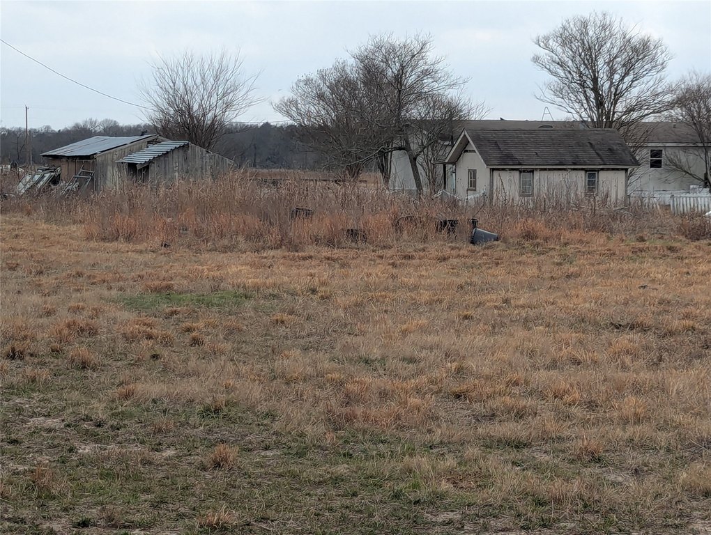 Picture 8