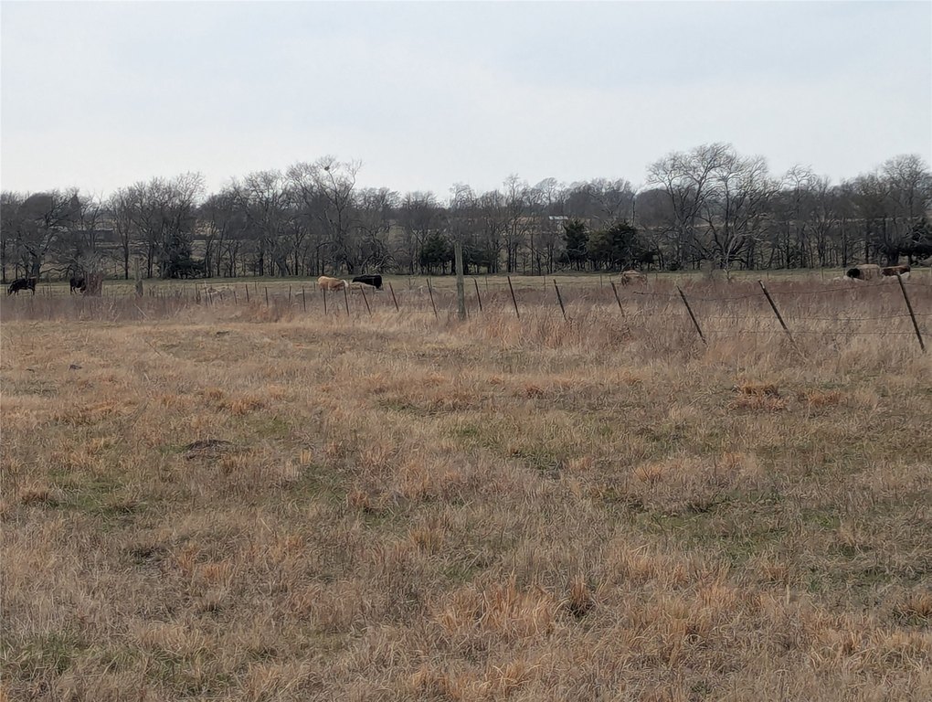Picture 9