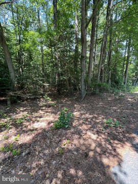 LAND - MILTON, DE