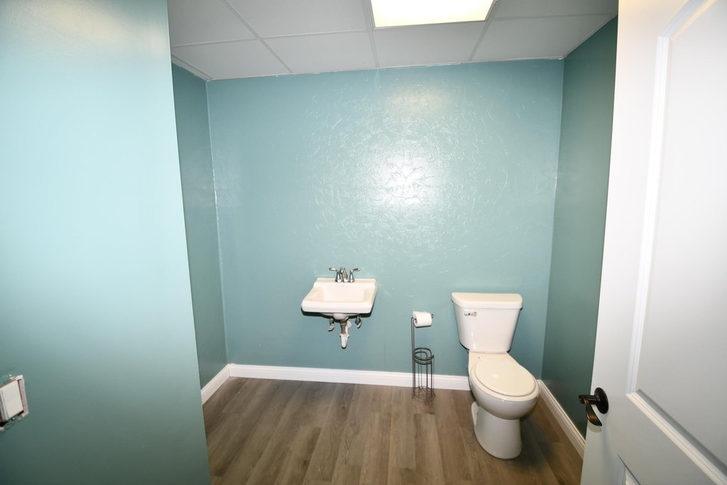 Picture 12