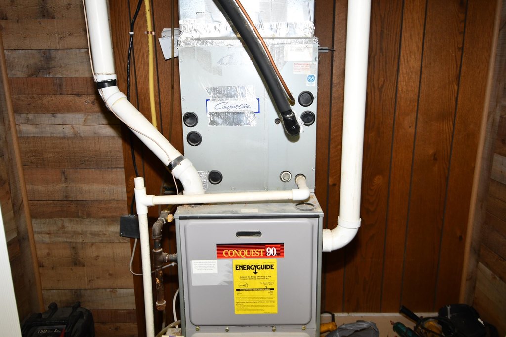 Picture 13
